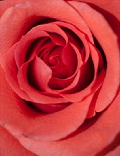 Diana Marie Duval - Photo 2