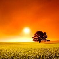 Mr. Richard "Rick" Funderburk