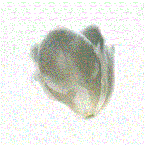 Thomas Harold Reddin - Photo 2