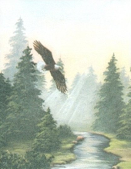 Jerry Lee Rowley - Photo 2