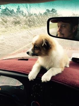 Steven Ryan Sanders - Photo 4