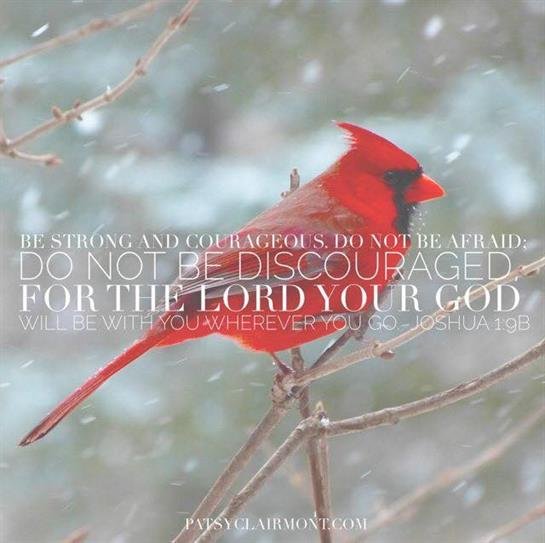 Ruby Dell Collier - Photo 8