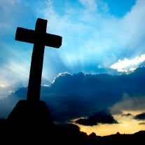 Sam Distefano - Photo 4