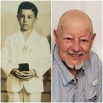 Irving John Prince Jr.